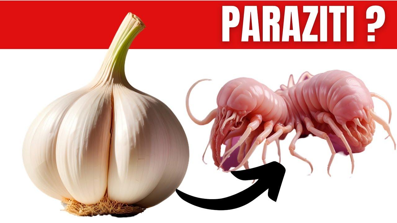 How does garlic remove parasites from the body? MarioLAB